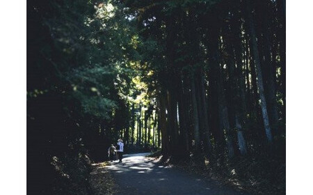 高原からの贈り物「伊予レザークリーム（いよかん）」3個セット※着日指定不可