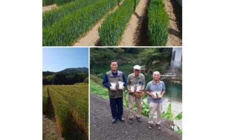 【仕七川育ちのもち麦 7,600g】清流と綺麗な土が育て、イナキ干しで仕上げた美味しいもち麦※着日指定不可