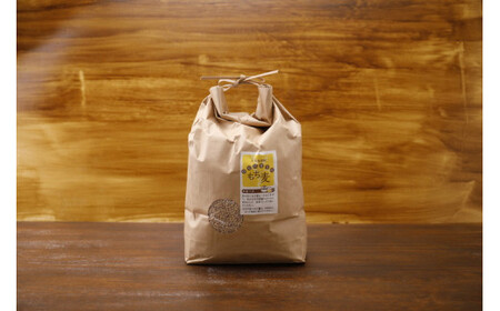 久万高原町 仕七川自慢 もち麦 1kg ｜ 雑穀 健康志向 腸活 食物繊維 ダイエット お取り寄せ 自然 愛媛県 仕七川地区の清流