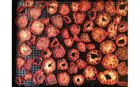 トマト 加工 食品「トマト農家のドライトマト 3個セット」｜トマト とまと ドライトマト 自然栽培 野菜 カレー トマトソース つまみ 濃縮 エコ栽培 安心 桃太郎トマト 酸味 甘味 乾燥 清流 料理 農園 トマト農園 旨み サンドイッチ サンドウィッチ 新鮮 煮込み 煮込み料理 アレンジ お酒のつまみ 美味しい 人気 ギフト プレゼント 自然 升田農園 愛媛 久万高原町