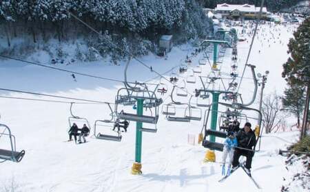 【高原の冬の楽しみ方】久万スキーランド　入場＆リフト1日引換券（大人）