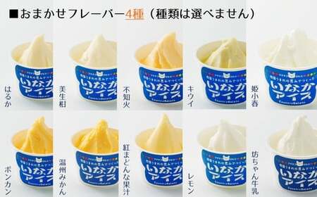 愛媛のご当地アイスセット（9種×2個 計18個入）｜いなかアイス アイス アイスクリーム ジェラート スイーツ 季節 厳選 紅まどんな レモン 姫小春 坊ちゃん牛乳 キウイ 温州みかん 不知火 ポンカン はるか 美生柑 フレーバー 久万茶 ブルーベリー いちじく いちご 紅茶 こだわり こだわり素材 ご褒美 贅沢 人気 おすすめ デザート ご当地グルメ 定番 お中元 お歳暮 贈答 贈り物 ギフト ※離島への配送不可