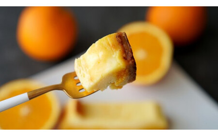 チーズケーキ３℃～さんど～食べ比べ５本セット 【MIC001】