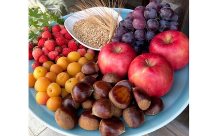 道後ジン 六媛 500ml 【MKS031】