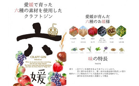 道後ジン 六媛 500ml 【MKS031】