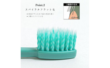 お米でできた歯ブラシ「キラグリン」３色12本セット 【SYB0091_x】