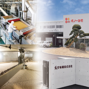 伊予のみそ 4個セット|  味噌 味噌 味噌 味噌 味噌 ギノーみそ【GNM0061】