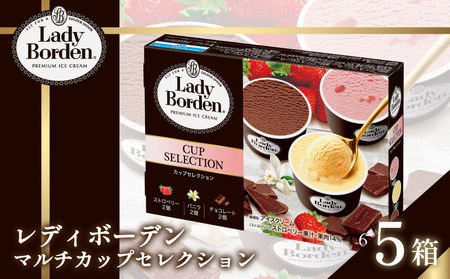 ロッテ レディーボーデン マルチカップセレクション ｜レディーボーデン アイス セット 詰め合わせ バニラ チョコレート ストロベリー アイスクリーム【MNM0022】