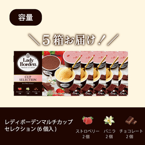 ロッテ レディーボーデン マルチカップセレクション ｜レディーボーデン アイス セット 詰め合わせ バニラ チョコレート ストロベリー アイスクリーム【MNM0022】