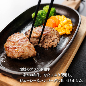 愛媛あかね和牛ハンバーグ12個ハンバーグ【SZS018】