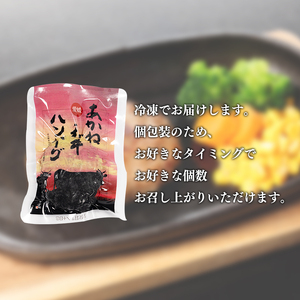 愛媛あかね和牛ハンバーグ12個ハンバーグ【SZS018】