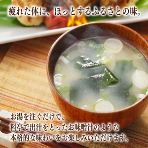 愛媛・伊予の田舎みそが楽しめる即席みそ汁セット （12食入り）| 即席 レトルト 味噌 味噌汁 みそ汁 簡単 便利 具だくさん 食べ比べ 父の日 一人暮らし 減塩 低塩 麦みそ 国産 大麦 大豆 味噌 みそ 粒みそ 調味料 麹 こうじ 味噌汁 みそ汁 愛媛県 松前町 えひめけん まさきちょう ギノーみそ 【GNM023】