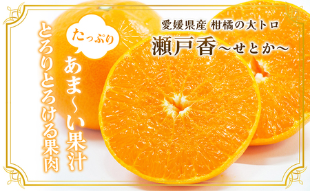 愛媛県産JA正規品 せとか（青秀）3Kg 3L～L（2025年1月～順次発送）【旬 甘い みかん 蜜柑 柑橘 かんきつ 高級 先行予約 愛媛県 農協 JA直送 フルーツ 果物 くだもの スイーツ】