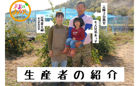 【数量限定 先行予約】訳ありせとかサイズ不揃い約3キロ家庭用 2月下旬頃~順次発送〈産地直送 愛媛県 甘い みかん フルーツ〉