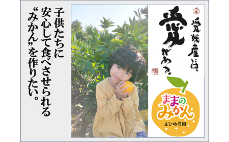 【数量限定 先行予約】訳ありせとかサイズ不揃い約3キロ家庭用 2月下旬頃~順次発送〈産地直送 愛媛県 甘い みかん フルーツ〉