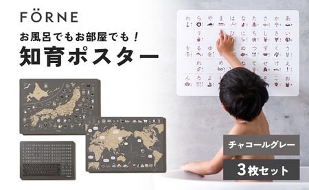 知育ポスター3枚セット（チャコールグレー）（日本地図・世界地図・ローマ字）【幼稚園 小学生 オシャレ 学習用 防水加工 知育 情操教育 おしゃれ 子供 シンプル ギフト お祝い 入園 入学】