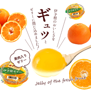 カップゼリー寒づくり伊予柑詰め合わせ12個セット No.18【柑橘 ゼリー 果肉 果実 果汁 果物 フルーツ 国産 愛媛県産 スイーツ おやつ ギフト お中元】