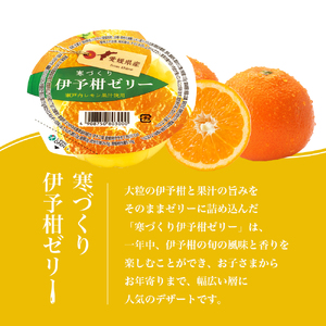 カップゼリー寒づくり伊予柑詰め合わせ12個セット No.18【柑橘 ゼリー 果肉 果実 果汁 果物 フルーツ 国産 愛媛県産 スイーツ おやつ ギフト お中元】
