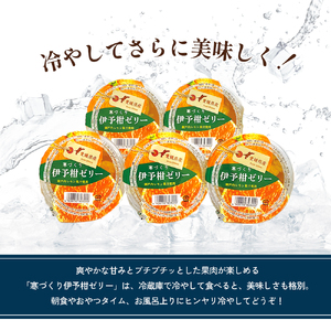 カップゼリー寒づくり伊予柑詰め合わせ12個セット No.18【柑橘 ゼリー 果肉 果実 果汁 果物 フルーツ 国産 愛媛県産 スイーツ おやつ ギフト お中元】