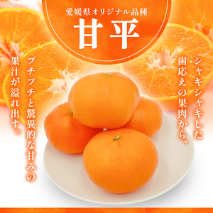 甘平 L～3Lサイズ　2.5kg　みきゃん箱入【フジ・アグリフーズ かんぺい はじける食感 濃厚果汁 旬にお届け みかん 柑橘 人気 数量限定 先行予約 愛媛県 フルーツ 果物 甘い】