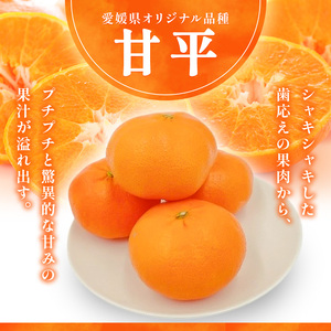 甘平 L~3Lサイズ 5kg 家庭用【フジ・アグリフーズ かんぺい はじける食感 濃厚果汁 旬にお届け みかん 柑橘 人気 数量限定 先行予約 愛媛県 フルーツ 果物 甘い】