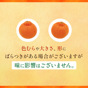 甘平 L~3Lサイズ 5kg 家庭用【フジ・アグリフーズ かんぺい はじける食感 濃厚果汁 旬にお届け みかん 柑橘 人気 数量限定 先行予約 愛媛県 フルーツ 果物 甘い】