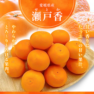 せとか L~3Lサイズ 2.5kg みきゃん箱入<みかん 柑橘 フルーツ 果物 愛媛県 国産 甘い 人気 先行予約 数量限定 旬にお届け 瀬戸香>