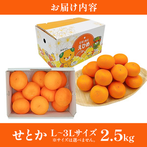 せとか L~3Lサイズ 2.5kg みきゃん箱入<みかん 柑橘 フルーツ 果物 愛媛県 国産 甘い 人気 先行予約 数量限定 旬にお届け 瀬戸香>
