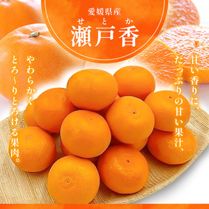 せとか L~3Lサイズ 5kg 家庭用 <みかん 柑橘 フルーツ 果物 愛媛県 国産 甘い 人気 先行予約 数量限定 旬にお届け 瀬戸香>