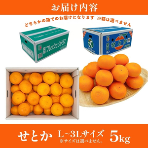 せとか L~3Lサイズ 5kg 家庭用 <みかん 柑橘 フルーツ 果物 愛媛県 国産 甘い 人気 先行予約 数量限定 旬にお届け 瀬戸香>
