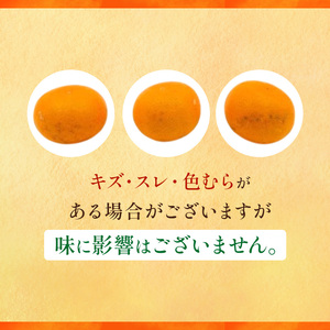 せとか L~3Lサイズ 5kg 家庭用 <みかん 柑橘 フルーツ 果物 愛媛県 国産 甘い 人気 先行予約 数量限定 旬にお届け 瀬戸香>