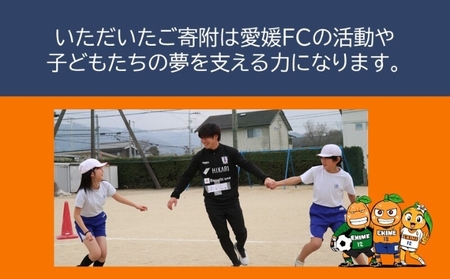 えひめまるごと活性化プロジェクト~プロスポーツと連携したまちづくり~【返礼品なし】愛媛FC連携事業 10,000円