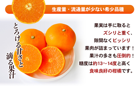 【数量限定 先行予約】愛媛県産せとか（ハウス）約2.7kg[50R0846] 【高島屋選定品】L～３Lサイズ(10～15玉) 1月下旬頃～順次発送＜ギフト 高級 甘い みかん    フルーツ＞ [No.5310-0042]