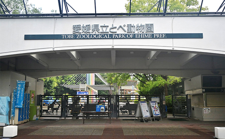 とべ動物園「年間パスポート」 チケット 入場券 優待券 大規模 ジップライン 