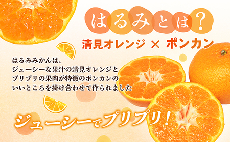 【数量限定 先行予約】愛媛県産 はるみ 約5kg[50R0824] 【高島屋選定品】秀M～２Lサイズ 1月下旬頃～順次発送＜ギフト 高級 甘い みかん フルーツ＞ [No.5310-0044] 