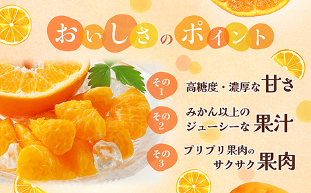 【数量限定 先行予約】愛媛県産 はるみ 約5kg[50R0824] 【高島屋選定品】秀M～２Lサイズ 1月下旬頃～順次発送＜ギフト 高級 甘い みかん フルーツ＞ [No.5310-0044] 