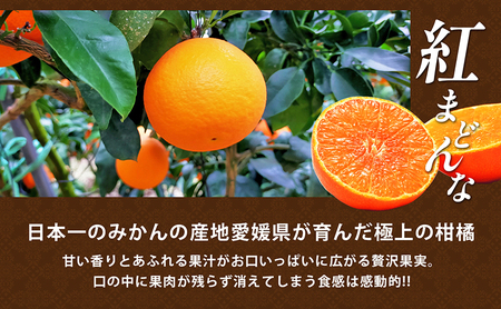  愛媛県産 紅まどんな[50R0986]【高島屋選定品】約2.7kg 青秀 ３L～Mサイズ（10～16玉） 柑橘 みかん 甘い 高級品 正規品