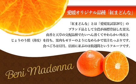 愛媛県産 紅まどんな 「青秀」JA正規品 約3kg10玉～15玉入り 数量限定400箱  12月～順次発送【柑橘 甘い 高級 極上 JA直送 正規みかん 愛果28号】