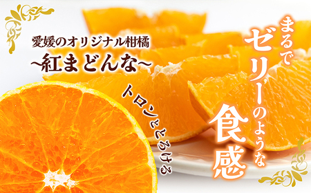 愛媛県産 紅まどんな「赤秀」JA正規品 約3kg 数量限定100箱 12月～順次発送【柑橘 甘い 高級 極上 JA直送 正規みかん 愛果28号】