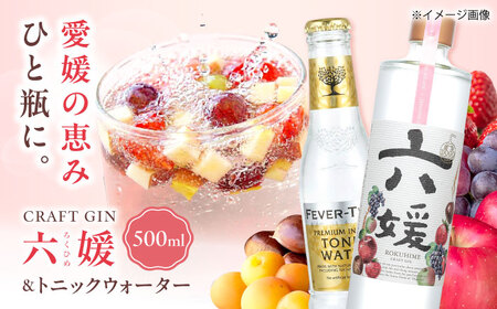 道後ジン 六媛・トニックセット（G6-500） お酒 クラフト 愛媛県産 国産 フレッシュ 甘い 華やか スパイス 香ばしい ギフト プレゼント
