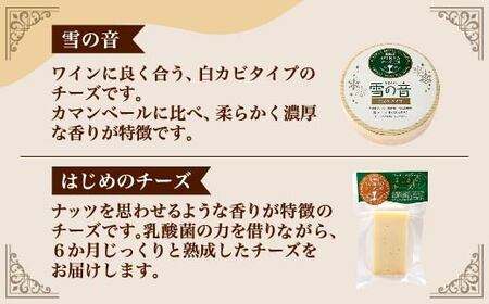 ASUKAのチーズ工房バラエティー6点セット 【 ふるさと納税 人気 おすすめ ランキング チーズ セット チーズセット さけるチーズ カマンベール 北海道 むかわ町 送料無料 】 MKWA001