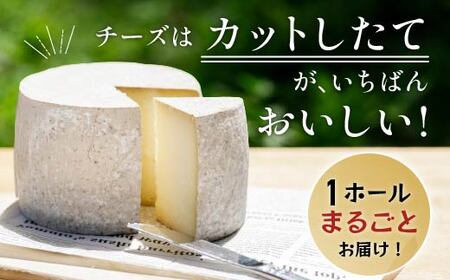 ASUKAのチーズ工房 ホールチーズ1kg 【 ふるさと納税 人気 おすすめ ランキング チーズ ホールチーズ セミハード ナチュラルチーズ ナッツ香 北海道 むかわ町 送料無料 】 MKWA002