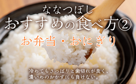 【令和6年産 新米】 ななつぼし 精米 10kg 【 ふるさと納税 人気 おすすめ ランキング 新米 お米 米 白米 精米 ななつぼし ごはん 道産米 コメ 北海道 むかわ町 送料無料 】 MKWF009