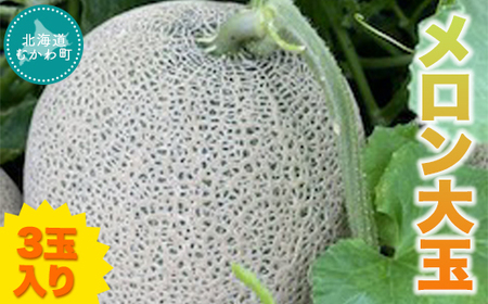 【先行予約！2026年7月以降発送】メロン大玉3玉入り 【 ふるさと納税 人気 おすすめ ランキング メロン 穂別メロン 赤肉メロン 贈答品 ギフト デザート 北海道 むかわ町 送料無料 】 MKWF011