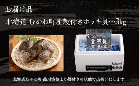 鵡川漁協発!特選ホッキ貝(3kg)【 ふるさと納税 人気 おすすめ ランキング 天然 特選 ほっき ホッキ ほっき貝 海鮮 新鮮 北海道 むかわ町 送料無料 】 MKWV001