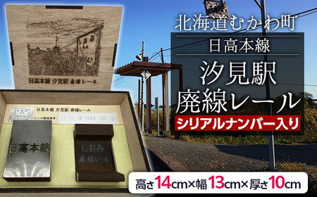 日高本線廃線レール　厚さ１０ｃｍ（数量限定）（シリアルナンバー入り）【 ふるさと納税 人気 おすすめ ランキング 廃線 レール ブックエンド 置物 限定 北海道 むかわ町 送料無料 】 MKWG033