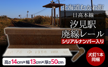日高本線廃線レール 長さ50cm(数量限定)(シリアルナンバー入り)【 ふるさと納税 人気 おすすめ ランキング 廃線 レール 汐見 置物 限定 北海道 むかわ町 送料無料 】 MKWG034