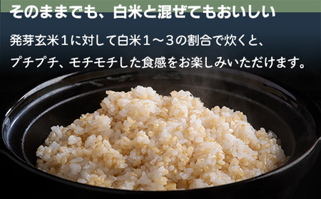 北海道米ゆめぴりか10kgと2種類の発芽玄米の食べ比べセット MKWAH010