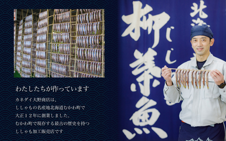 北海道産生干ししゃもセット（メス・オス各20尾） MKWAE001 | ししゃも