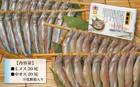 北海道産生干ししゃもセット（メス・オス各20尾） MKWAE001 | ししゃも